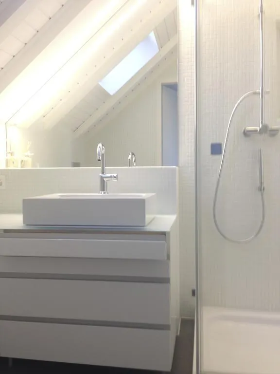 Carouge Loft Apartment Genebra