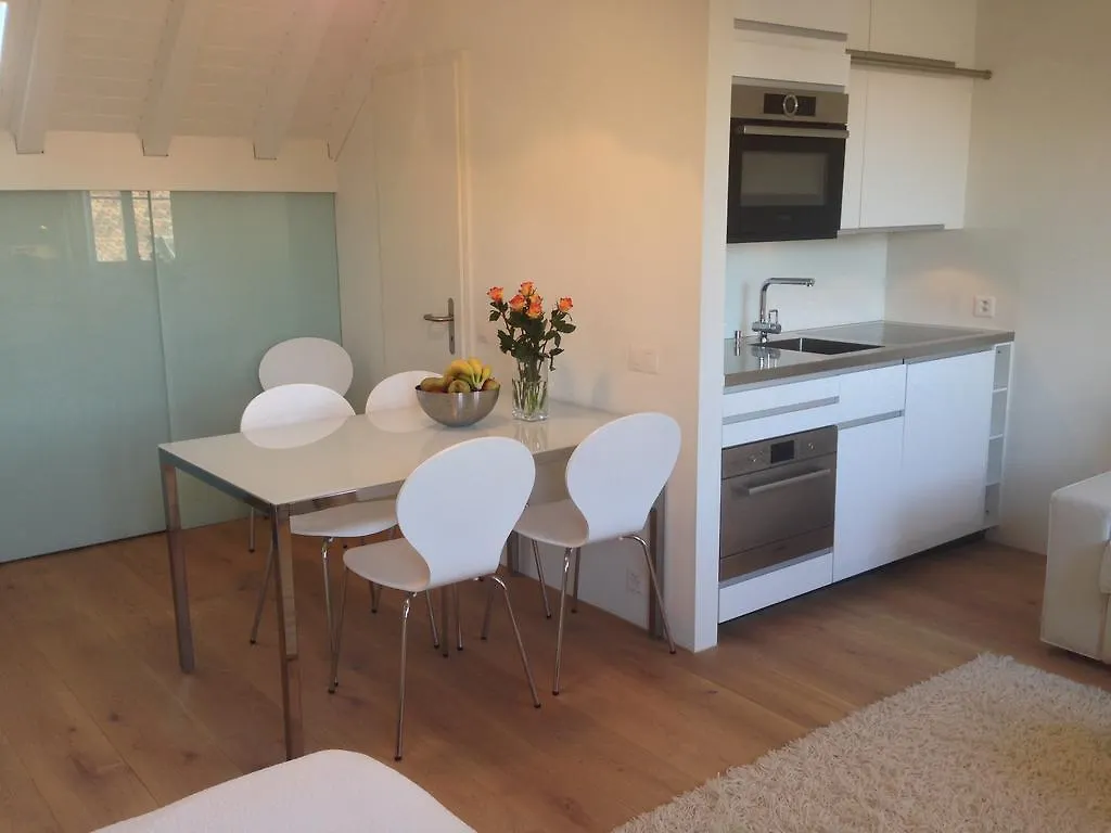 Carouge Loft Apartment Geneva