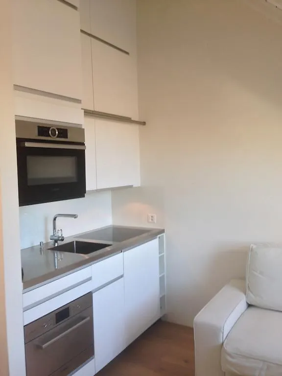Carouge Loft Apartment Geneva 0*,