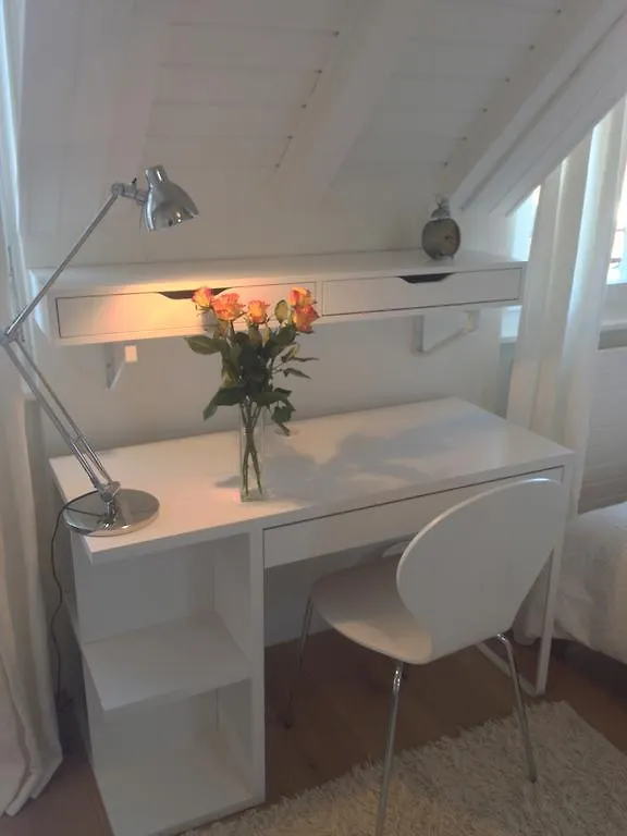 Carouge Loft Apartment Geneva 0*,  Switzerland