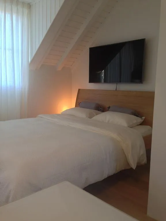 Carouge Loft Apartment Genebra Suíça