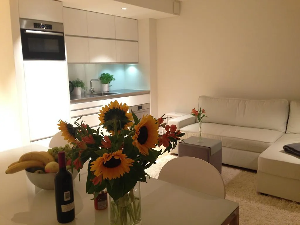 Carouge Loft Apartment Geneva Switzerland